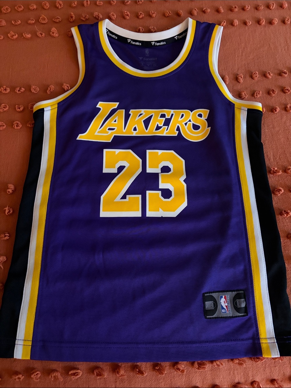 Fanatics Lebron James Los Angeles Lakers #23 Youth Jersey